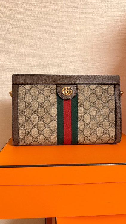 色々（ブランドバッグ）の商品画像 - 査定依頼日：2026年1月17日 - 最高査定価格：420,000円