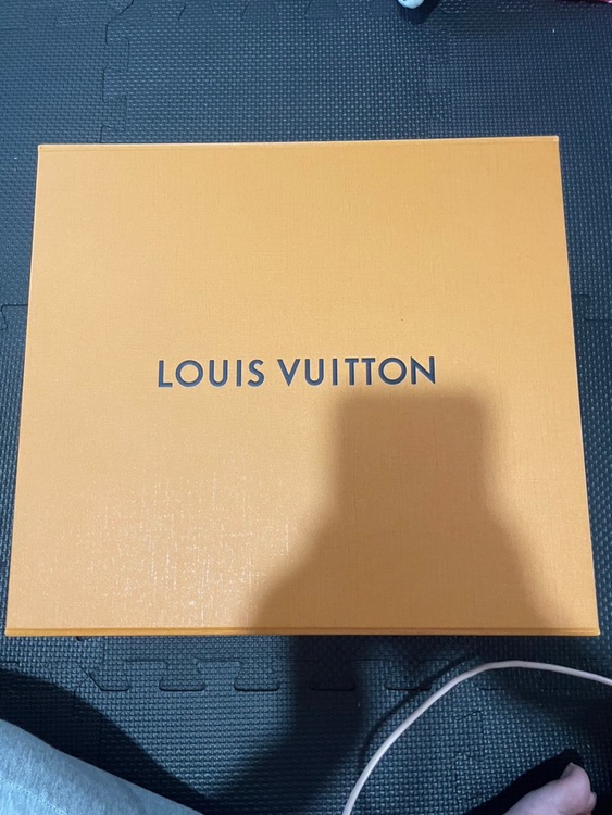 ディアヌ（ブランドバッグ）の商品画像 - 査定依頼日：2025年9月24日 - 最高査定価格：100,000円