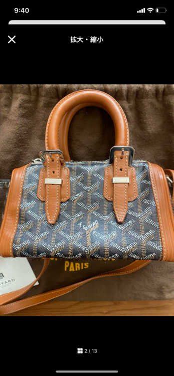 ゴヤール  （ブランドバッグ）の商品画像 - 査定依頼日：2025年1月16日 - 最高査定価格：100,000円