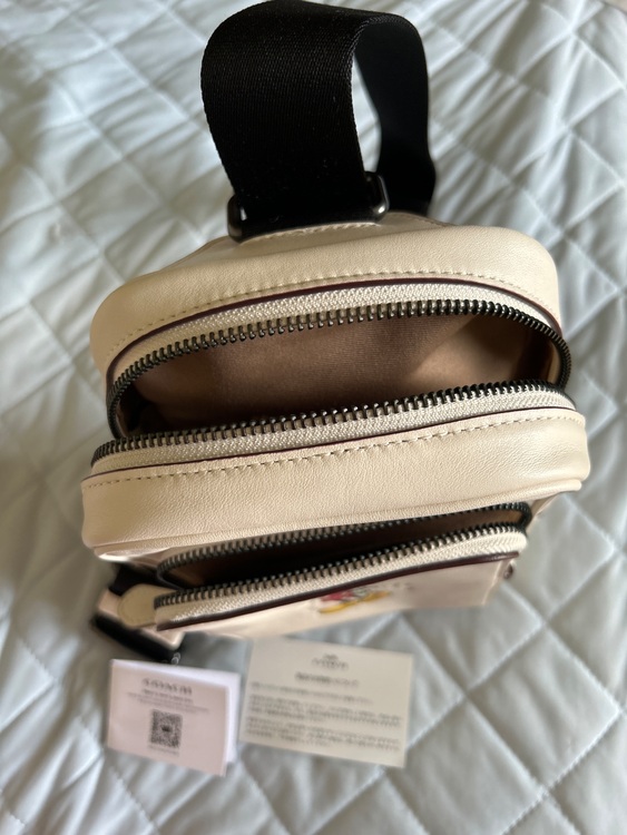 その他 コーチ （ブランドバッグ）の商品画像 - 査定依頼日：2025年7月19日 - 最高査定価格：8,000円