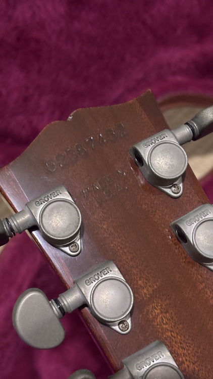ES-335 dot（ピアノ・楽器・PA機材）の商品画像 - 査定依頼日：2026年5月14日 - 最高査定価格：130,000円