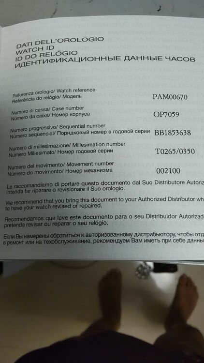 PAM00670（高級時計）の商品画像 - 査定依頼日：2025年11月3日 - 最高査定価格：1,520,000円