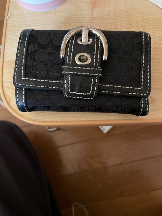 その他 コーチ （ブランドバッグ）の商品画像 - 査定依頼日：2025年3月12日 - 最高査定価格：1,000円