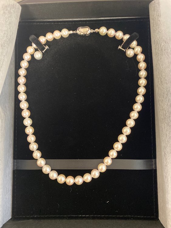 アコヤ真珠（宝石）の商品画像 - 査定依頼日：2023年5月26日 - 最高査定価格：5,000円