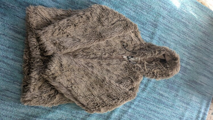 フェイクファーコート（古着・ファッション）の商品画像 - 査定依頼日：2026年1月17日 - 最高査定価格：100,000円