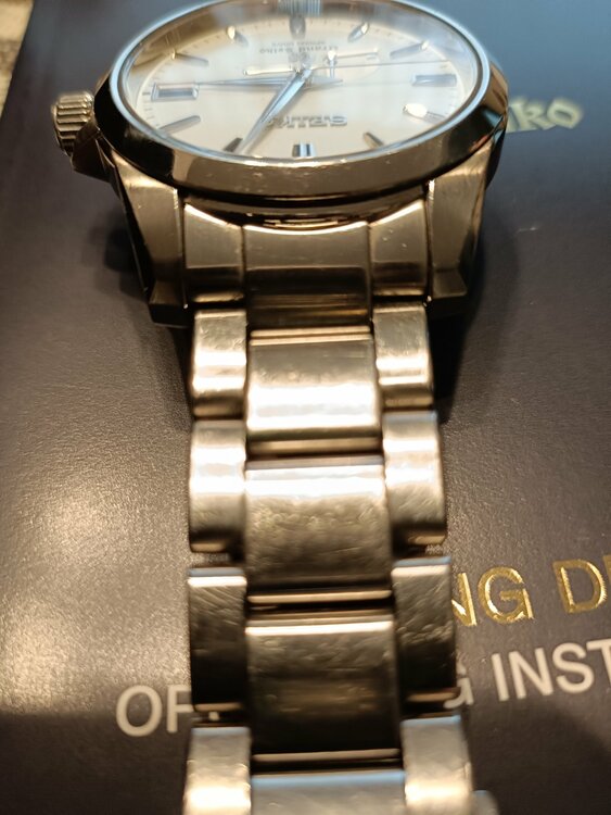 セイコー スプリントドライブ SBGA015（高級時計）の商品画像 - 査定依頼日：2026年2月28日 - 最高査定価格：340,000円