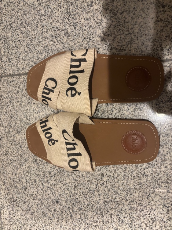 その他 クロエ （ブランドバッグ）の商品画像 - 査定依頼日：2026年1月14日 - 最高査定価格：10,000円