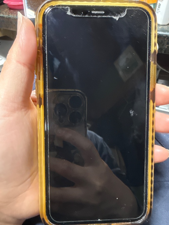 iPhone11 Pro 256GB au（スマホ）の商品画像 - 査定依頼日：2026年3月17日 - 最高査定価格：21,000円