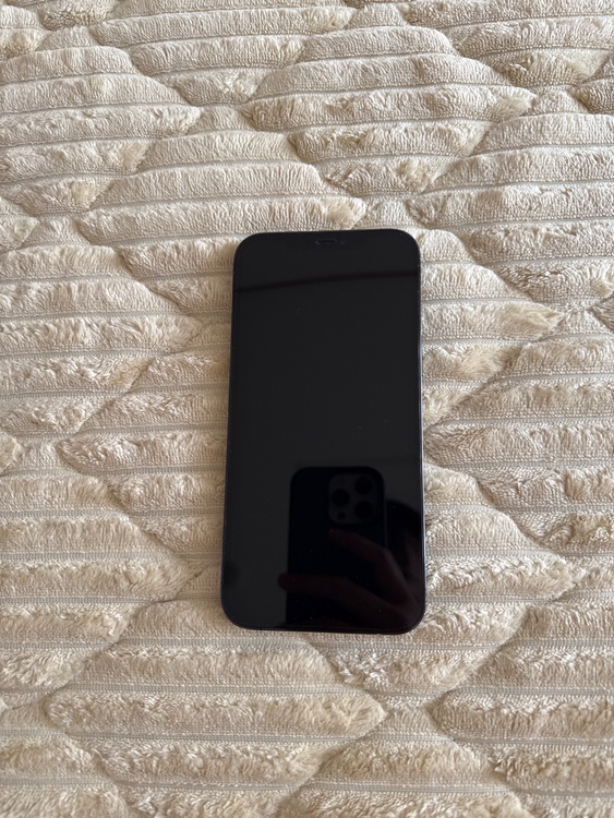 iPhone12ProMAX（スマホ）の商品画像 - 査定依頼日：2026年3月30日 - 最高査定価格：44,000円