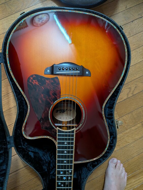 テリーズ・テリー　カジュアル　TC-M7　Cataway（ピアノ・楽器・PA機材）の商品画像 - 査定依頼日：2026年7月3日 - 最高査定価格：480,000円