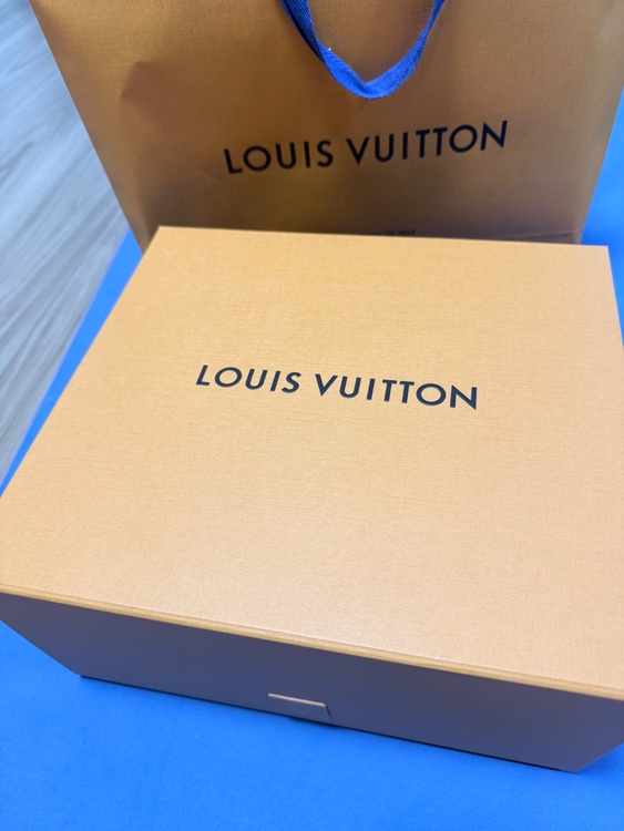 ルイヴィトン ルイヴィトン(その他) （ブランドバッグ）の商品画像 - 査定依頼日：2026年3月26日 - 最高査定価格：450,000円