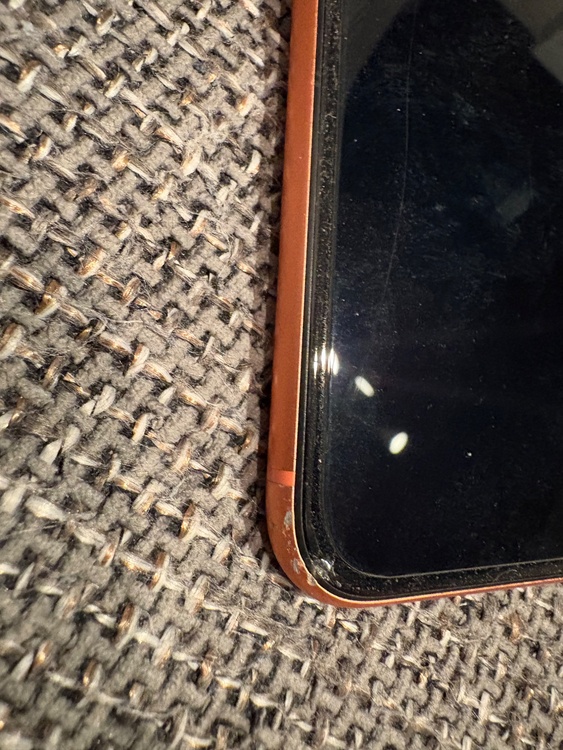 iPhoneXR 256GB Softbank（スマホ）の商品画像 - 査定依頼日：2026年4月14日 - 最高査定価格：4,000円