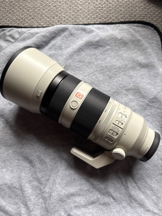 FE4.5-5.6/100-400 GM OSS（カメラ）の商品画像 - 査定依頼日：2026年4月10日 - 最高査定価格：150,000円