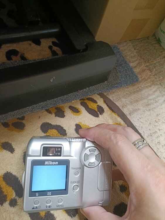 COOLPIX775（カメラ）の商品画像 - 査定依頼日：2026年7月20日 - 最高査定価格：2,000円