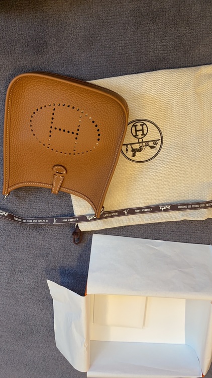 エブリンTPM（ブランドバッグ）の商品画像 - 査定依頼日：2025年6月5日 - 最高査定価格：380,000円