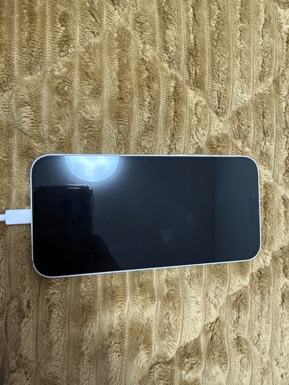 iPhone 14 Pro Max 256GB Softbank（スマホ）の商品画像 - 査定依頼日：2026年4月14日 - 最高査定価格：74,000円