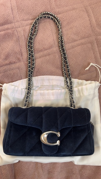 その他 コーチ （ブランドバッグ）の商品画像 - 査定依頼日：2026年3月27日 - 最高査定価格：3,500円