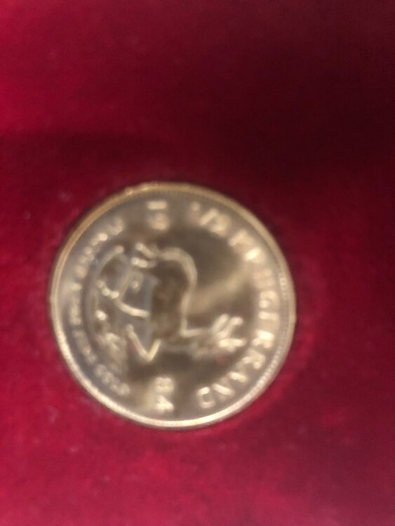 クルーガーランド金貨（金・貴金属）の商品画像 - 査定依頼日：2024年11月11日 - 最高査定価格：210,000円