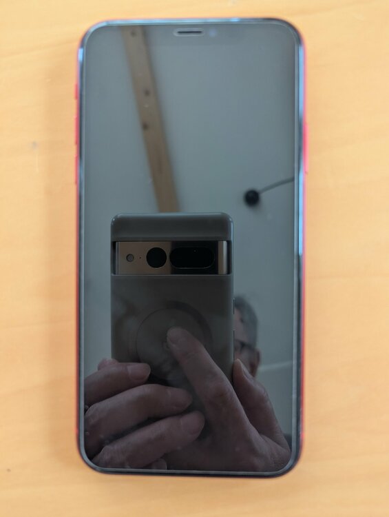 iPhone iPhone11 64GB SIMフリー（スマホ）の商品画像 - 査定依頼日：2026年5月24日 - 最高査定価格：13,000円