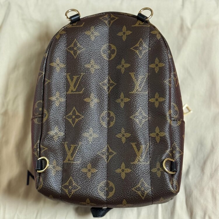 パームスプリングスバックパックMINI（ブランドバッグ）の商品画像 - 査定依頼日：2026年3月27日 - 最高査定価格：220,000円