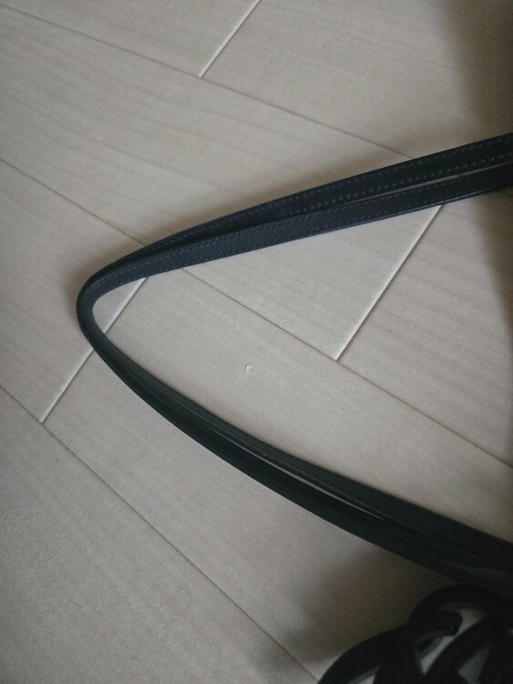 キャンパス地G Gマーク（ブランドバッグ）の商品画像 - 査定依頼日：2026年2月7日 - 最高査定価格：100,000円