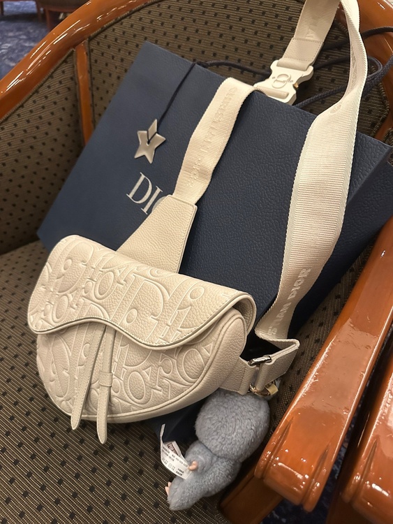 ディオール グラビティ アウトライン レザー & グレインドカーフスキン（ブランドバッグ）の商品画像 - 査定依頼日：2026年1月13日 - 最高査定価格：200,000円