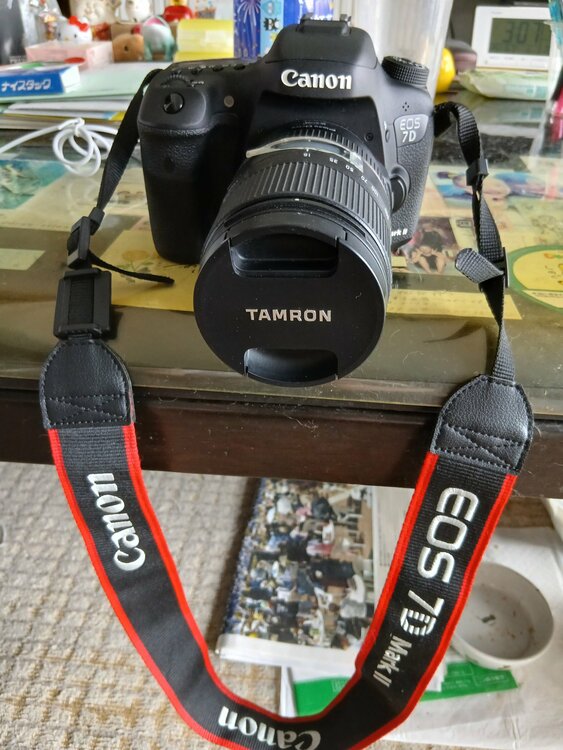 EOS7DMKⅡ（カメラ）の商品画像 - 査定依頼日：2026年7月1日 - 最高査定価格：45,000円