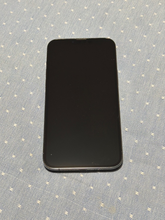 iPhone iPhone 13 Pro Max 1TB docomo（スマホ）の商品画像 - 査定依頼日：2026年8月7日 - 最高査定価格：65,000円