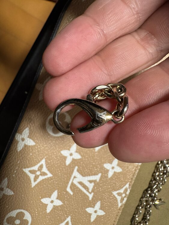 ルイヴィトン ルイヴィトン(その他) （ブランドバッグ）の商品画像 - 査定依頼日：2025年5月30日 - 最高査定価格：100,000円