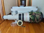 EF600mm F4L USM（カメラ）の商品画像 - 査定依頼日：2026年10月11日 - 最高査定価格：200,000円