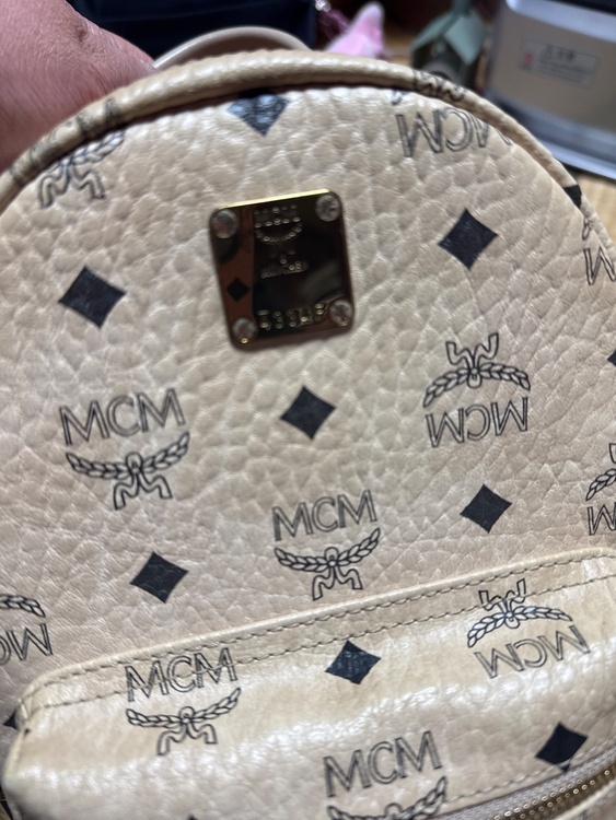 その他 その他 （ブランドバッグ）の商品画像 - 査定依頼日：2026年2月9日 - 最高査定価格：11,000円