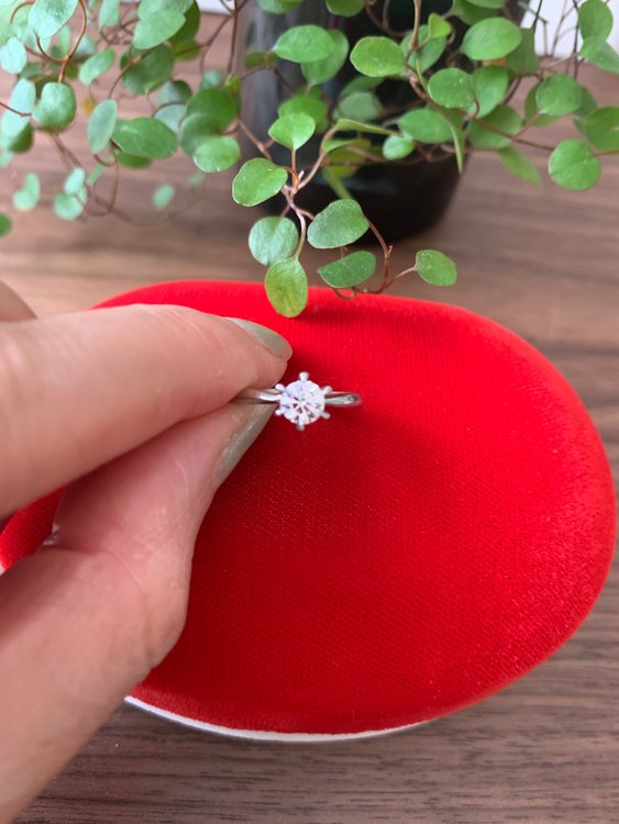 プラチナ1000 ダイヤモンドリング（宝石）の商品画像 - 査定依頼日：2022年9月30日 - 最高査定価格：40,000円