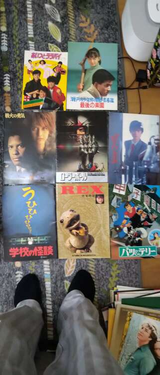 映画のパンフレット（古本）の商品画像 - 査定依頼日：2025年4月8日 - 最高査定価格：1,200円