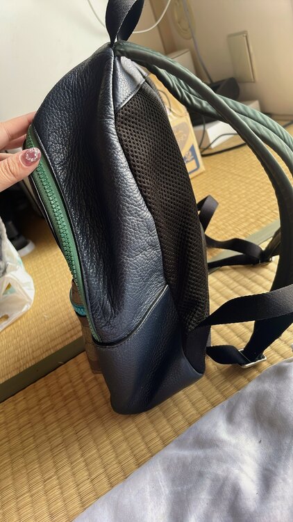 グッチ  （ブランドバッグ）の商品画像 - 査定依頼日：2024年12月30日 - 最高査定価格：3,000円