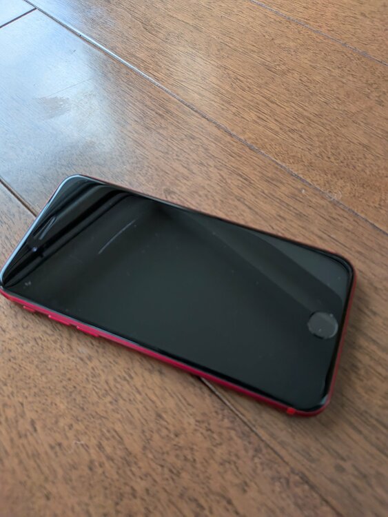 iPhone SE (第 2 世代) 64GB SIMフリー（スマホ）の商品画像 - 査定依頼日：2026年2月17日 - 最高査定価格：13,000円