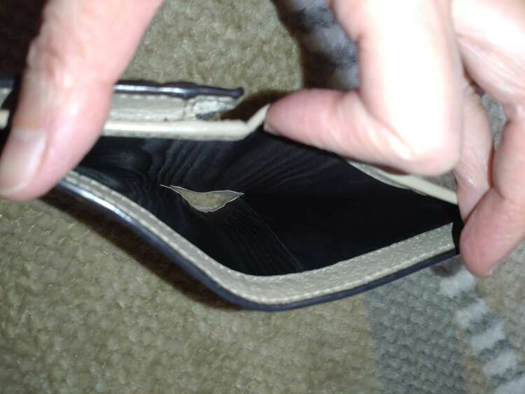 〔オフィディア〕 GG ミニウォレット (コイン＆紙幣入れ付き）（ブランド財布・小物）の商品画像 - 査定依頼日：2025年4月13日 - 最高査定価格：15,000円