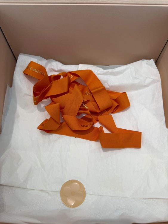 カプシーヌ（ブランドバッグ）の商品画像 - 査定依頼日：2026年1月12日 - 最高査定価格：450,000円