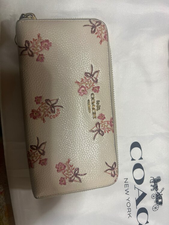 その他 コーチ （ブランドバッグ）の商品画像 - 査定依頼日：2025年2月26日 - 最高査定価格：3,000円