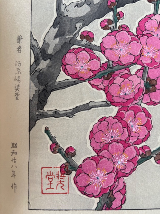 紅梅（美術品・骨董品）の商品画像 - 査定依頼日：2026年6月29日 - 最高査定価格：2,000円