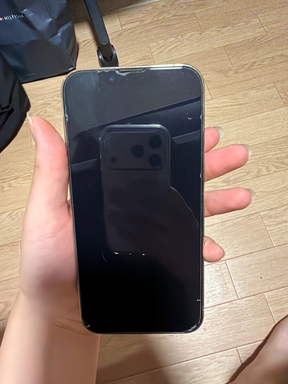 iPhone iPhone 13 Pro 256GB SIMフリー（スマホ）の商品画像 - 査定依頼日：2026年9月16日 - 最高査定価格：48,500円