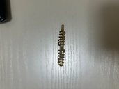 ミュウミュウ  （ブランドバッグ）の商品画像 - 査定依頼日：2026年1月15日 - 最高査定価格：28,000円