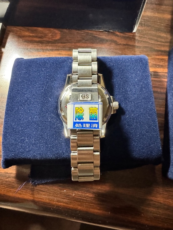 セイコー スプリントドライブ SBGA025(9R65-0AG1)（高級時計）の商品画像 - 査定依頼日：2026年4月27日 - 最高査定価格：100,000円