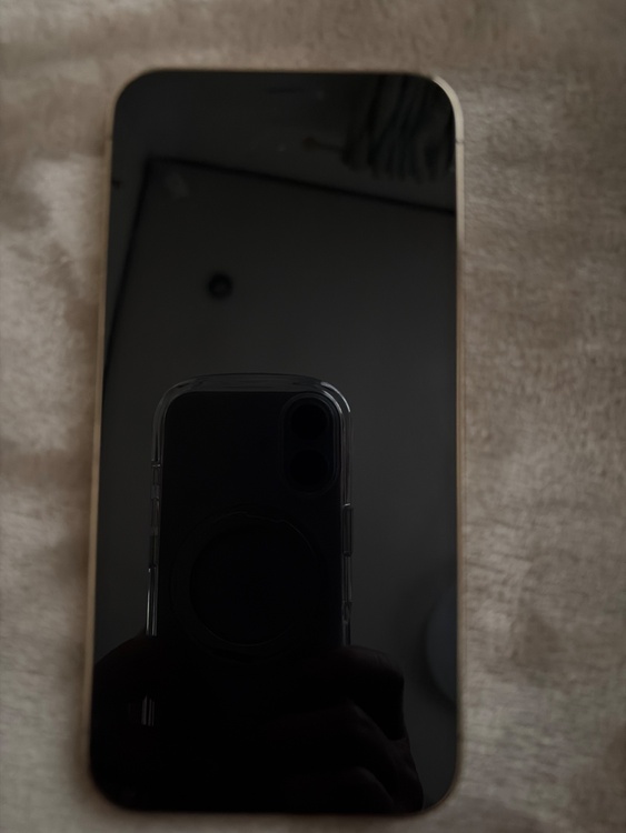 iPhone 12 Pro 128GB SIMフリー（スマホ）の商品画像 - 査定依頼日：2026年4月26日 - 最高査定価格：32,000円