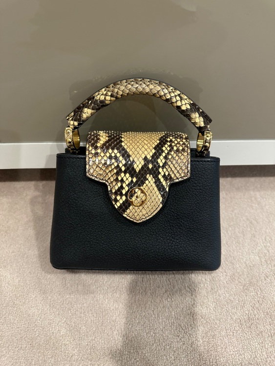 カプシーヌ（ブランドバッグ）の商品画像 - 査定依頼日：2025年6月28日 - 最高査定価格：350,000円