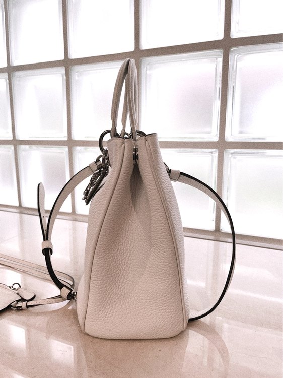 ディオール  （ブランドバッグ）の商品画像 - 査定依頼日：2023年3月20日 - 最高査定価格：250,000円