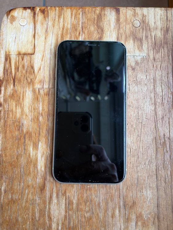 iPhone iPhoneXR 128GB Softbank（スマホ）の商品画像 - 査定依頼日：2026年6月14日 - 最高査定価格：12,000円