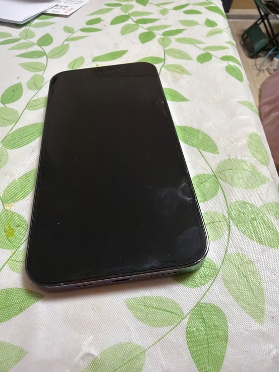 iPhone13Pro256です（スマホ）の商品画像 - 査定依頼日：2026年6月24日 - 最高査定価格：54,000円