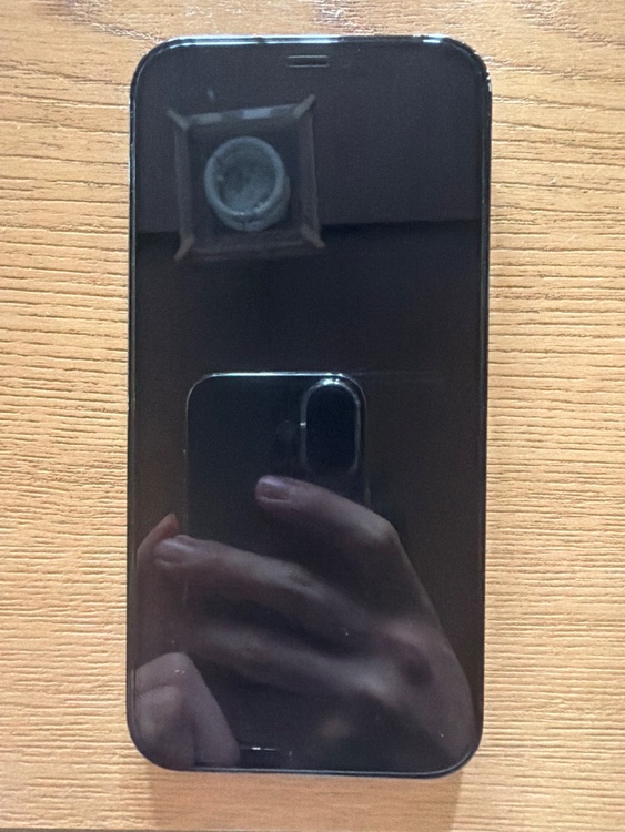 iPhone 12 Pro 256GB SIMフリー（スマホ）の商品画像 - 査定依頼日：2026年3月23日 - 最高査定価格：31,000円