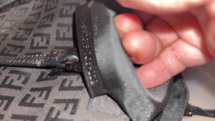 フェンディ  （ブランドバッグ）の商品画像 - 査定依頼日：2025年6月8日 - 最高査定価格：35,000円