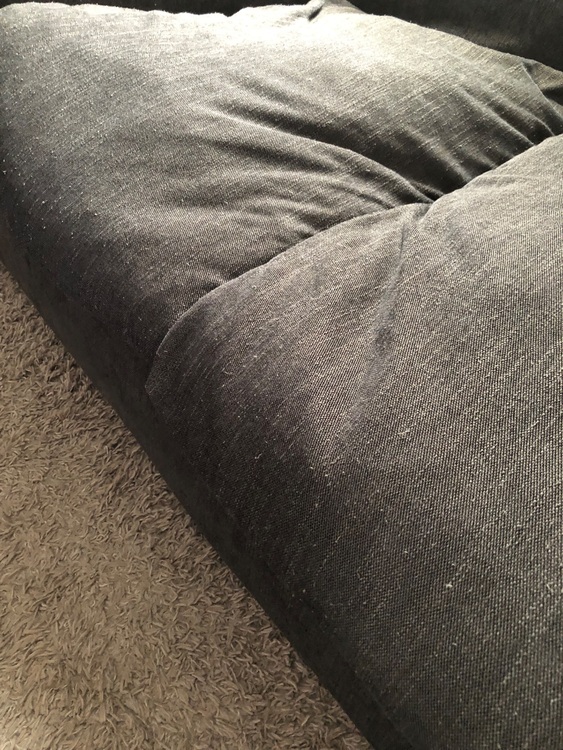 ニトリ　ソファ（家具・寝具）の商品画像 - 査定依頼日：2025年7月2日 - 最高査定価格：8,000円